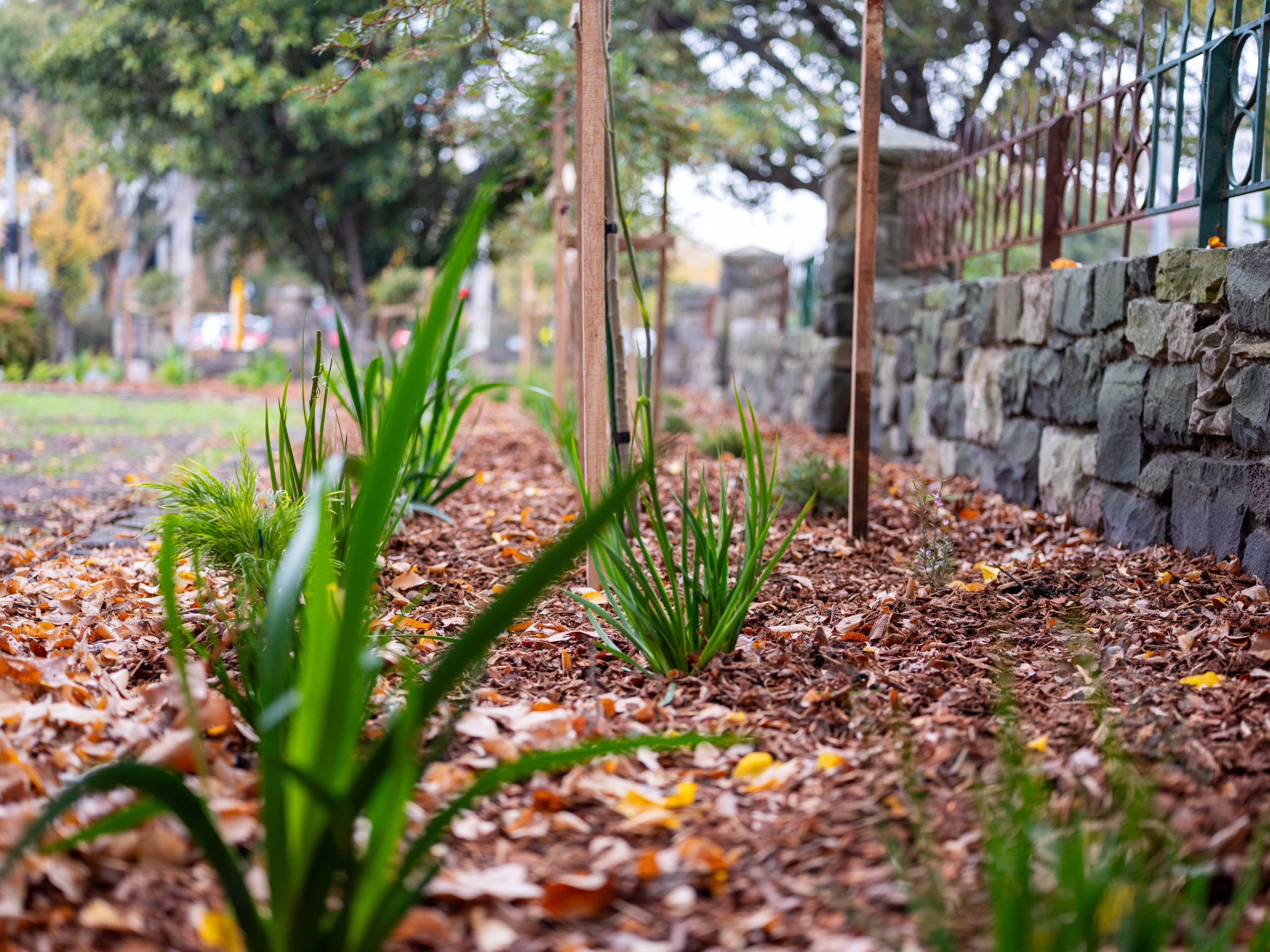 refreshed garden bed