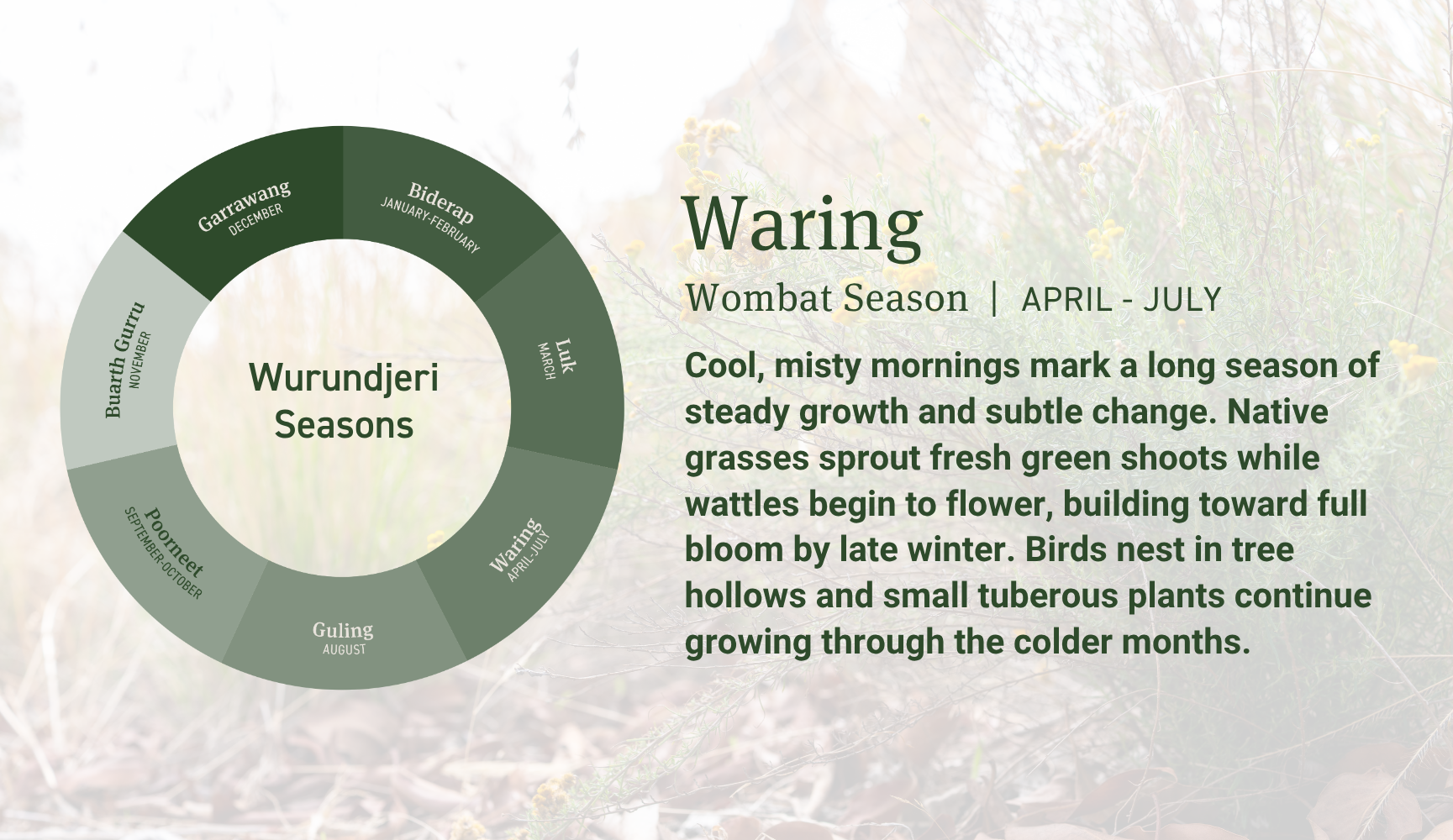 Wurundjeri season tile for information
